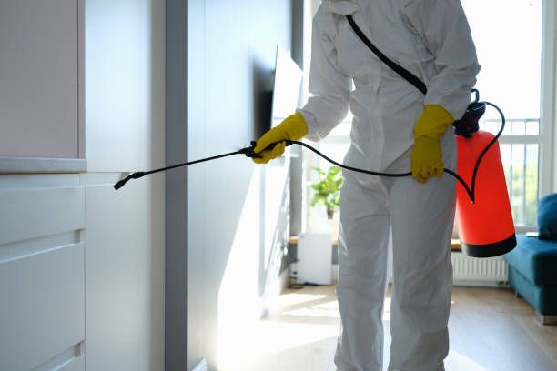 North Bend, WA Mold Removal Company