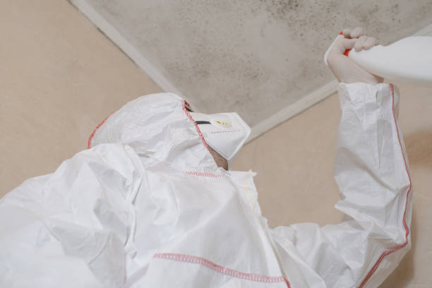 Best Mold Testing  in North Bend, WA