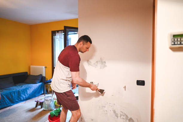 Best Attic Mold Removal  in North Bend, WA